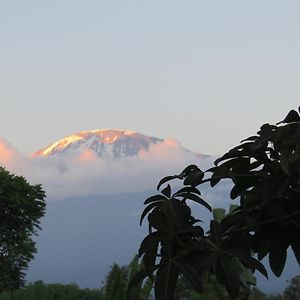 Kilimanjaro White House Hotel